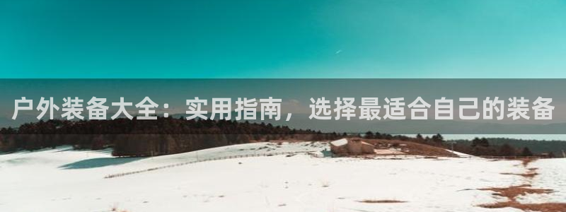 新宝gg挂机软件下载