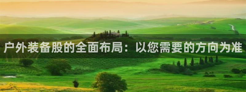 新宝gg金砖彩票